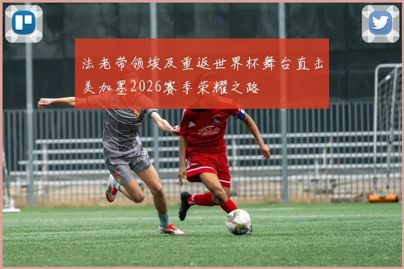 法老带领埃及重返世界杯舞台直击美加墨2026赛季荣耀之路