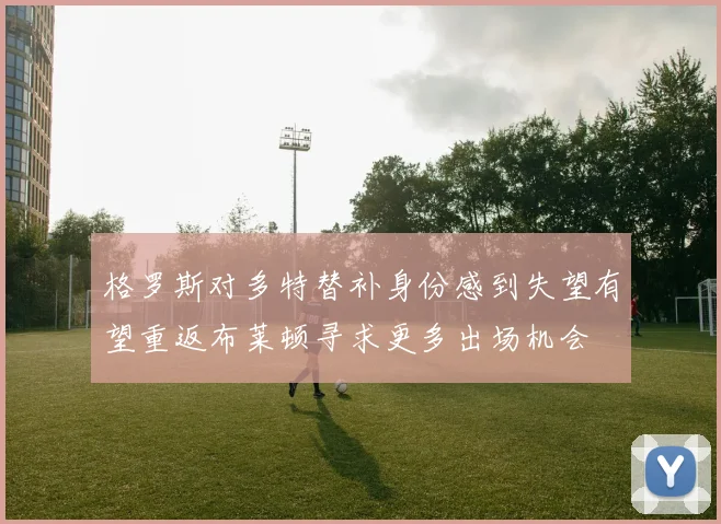 格罗斯对多特替补身份感到失望有望重返布莱顿寻求更多出场机会